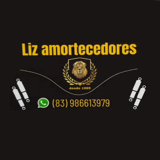 Foto de LIZ AMORTECEDORES